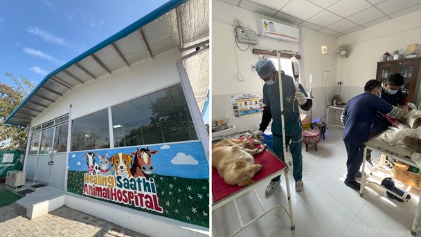 Healing Saathi Animal Hospital