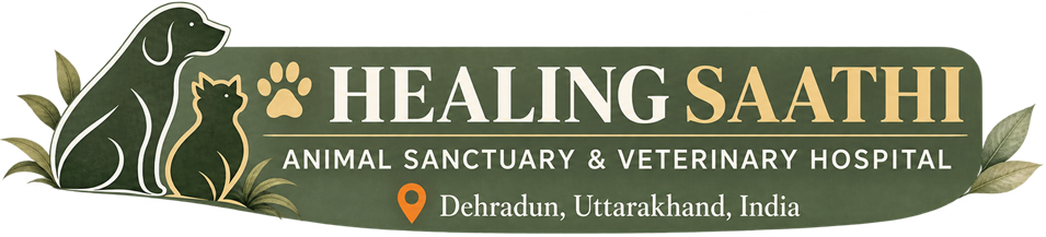 Healing Saathi